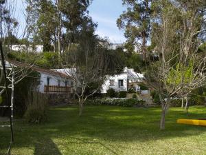 米尔芳提斯城Moinho Da Asneira - Duna Parque Group的一座房子,有一座种有树木和黄薯的院子