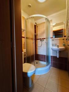 库特纳霍拉Penzion Nové dvory的带淋浴、卫生间和盥洗盆的浴室