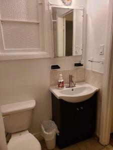 蒙特利尔425$ 7nights // Full Kitchen // Room B的一间带水槽、卫生间和镜子的浴室