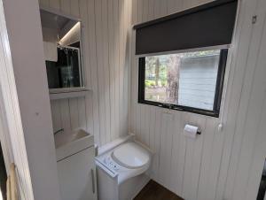 Dadswells BridgeTiny House 22 at Grampians Edge的一间带卫生间和窗户的小浴室