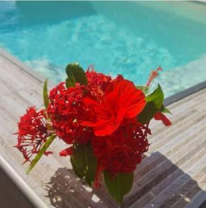 圣吕斯Pitaya Lodge by Lodge Paradise的坐在游泳池旁桌子上的红花