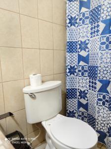 莫约加尔帕Ometepe House的浴室设有蓝色和白色瓷砖,配有卫生间