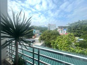 Tuyên QuangTuan Anh Hostel的设有一个享有棕榈树美景的阳台。