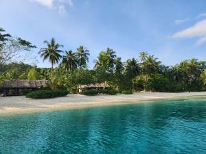 Tua PejatLeleu Mentawai Accommodation的棕榈树岛和碧绿海水海滩