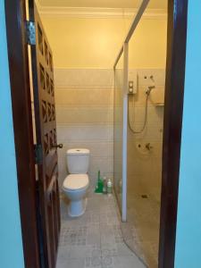 金边Entire Town House in Chroy Changva area的一间带卫生间和淋浴的浴室