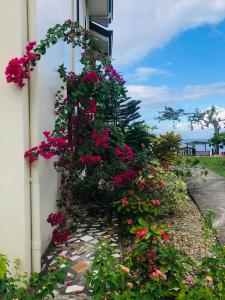 锡基霍尔D's Oceanview Beach Resort的建筑物边的一束鲜花