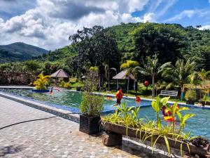 贡布Kampot Hill Lodge的一座山地风格的度假游泳池