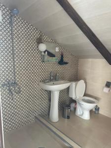 卡兹贝吉Hotel Nestt的一间带水槽和卫生间的浴室