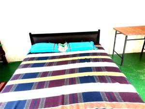 基图尔格勒Mount Weather的床上有2个蓝色枕头