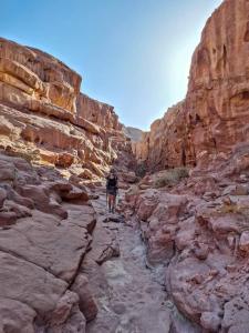 达纳Adventure camping - Organized Trekking from Dana to Petra的一个人在岩石峡谷中行走