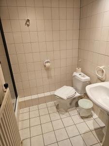 艾斯登勒博纳尔酒店的一间带卫生间和水槽的浴室