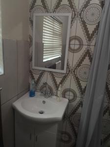 帕尔Avo Tree Guesthouse的一间带水槽和镜子的浴室