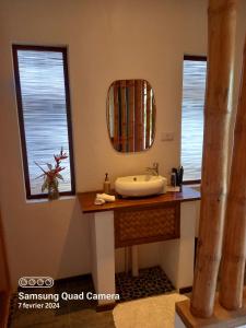 圣维森特Valerie Lodge的一间带水槽和镜子的浴室