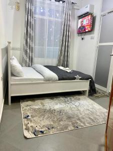 多多马DODOMA WHITE HOTEL的一间卧室配有一张床、一台电视和一张地毯。