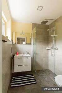 锡默拉特Rurtal de luxe的一间带水槽和玻璃淋浴的浴室