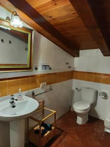 佩拉托拉达Turismo Rural Calaliu的一间带水槽和卫生间的浴室