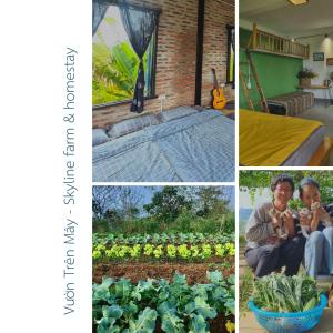 木州县Vườn Trên Mây - Skyline Farm & Homestay的花园蔬菜图片的拼贴