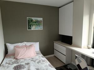 布拉戈耶夫格勒Central, brand new apart with parking的一间卧室配有一张带粉红色枕头的床和一台电视。