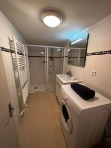 布尔日appartement avec garage et terrasse的一间带洗衣机和水槽的浴室