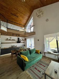斯拉夫西克Villa Pelahia的一间带绿色沙发的客厅和一间厨房