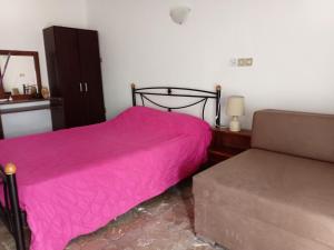 卢特拉艾季普苏Nikos Rooms的卧室配有粉红色的床和沙发
