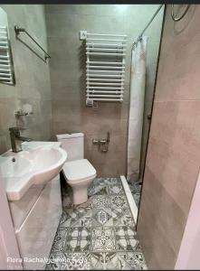 安布罗劳里Flora Racha - Lovely Cottages的浴室配有卫生间、盥洗盆和淋浴。