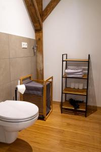 菲林根-施文宁根Schwarzwald-Glück City Studio的一间带卫生间的浴室和一个带毛巾的架子