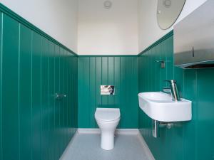 GartmoreCobleland Campsite的绿色浴室设有卫生间和水槽