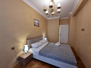 巴库ISR city view的一间卧室配有一张带两个枕头的床和吊灯。