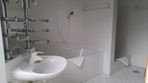 HautzenbichlLebensART的白色的浴室设有水槽和淋浴。