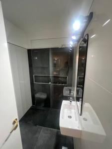 布宜诺斯艾利斯Hermoso 2 ambientes en Obelisco的一间带水槽和镜子的浴室