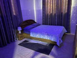 库马西Luxury Spacious Apartment的紫色卧室配有一张带紫色床单的床