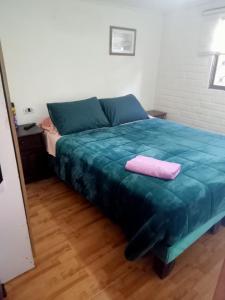 圣地亚哥Habitaciones Pabla的一间卧室配有一张蓝色的床,上面有粉红色的毛巾