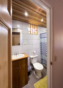 别霍港El Clan Hostel的一间带卫生间、水槽和镜子的浴室