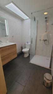多德雷赫特Appartement Blom的带淋浴、卫生间和盥洗盆的浴室
