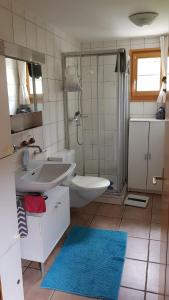 菲施Chalet Sonnenblick的一间带水槽、卫生间和淋浴的浴室