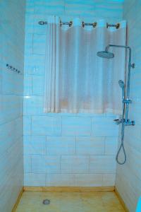 基加利Venus VIP VILLA SUITES的带淋浴和浴帘的浴室