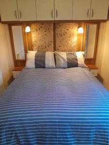 英戈尔德梅尔斯Sunnymeade Holiday Park i3 St David的卧室配有蓝色和白色的床和2个枕头