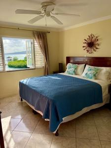 蒙特哥贝Luxury Apartments and Rooms,The Lagoons的一间卧室配有一张带蓝色棉被的床和窗户。