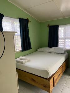 尼格瑞尔Andre's Guest House的一间卧室配有一张带蓝色窗帘的大床