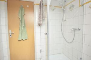罗特RT01-RI Apartment in Roth的带淋浴和淋浴的浴室