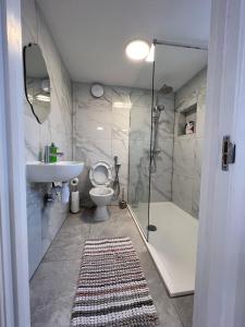 牛津Beautiful home in Oxford的浴室配有卫生间、盥洗盆和淋浴。