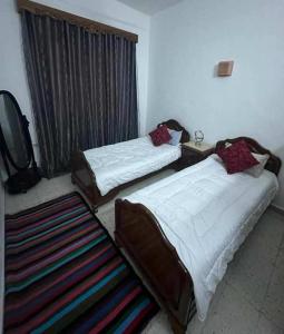 托泽尔Appartement Chebbi的一间卧室配有两张床、一台电视和一张地毯。