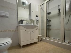 Santa Maria del MoliseB&B I Mulini的一间带水槽、淋浴和卫生间的浴室