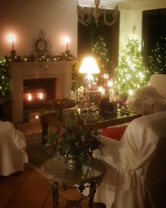 里韦拉布拉瓦Quinta do Cabouco的客厅配有圣诞树和壁炉