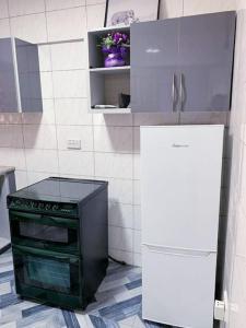 特马Lovely 1-bedroom Unit的厨房配有炉灶和冰箱。