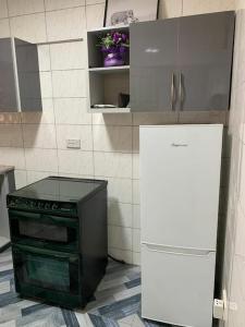 特马Lovely 1-bedroom Unit的厨房配有炉灶和冰箱。