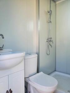 拉耶North Shore Glamping / Camping Laie, Oahu, Hawaii的白色的浴室设有卫生间和淋浴。