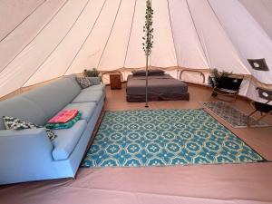 拉耶North Shore Glamping / Camping Laie, Oahu, Hawaii的一个带沙发和床的帐篷