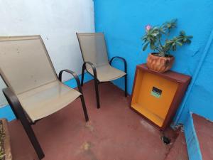 韦拉克鲁斯Chuchumbé Hotel & Hostal的两把椅子和一张桌子上放着盆子